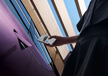 Frameless doors with flush handles